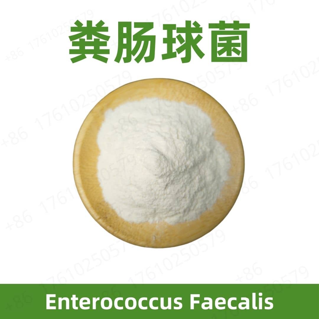 Enterococcus faecalis