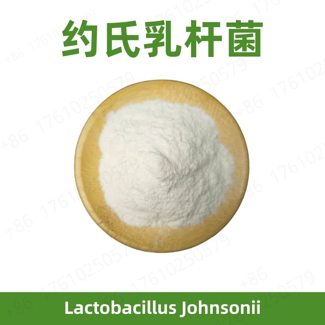 Lactobacillus johnsonii