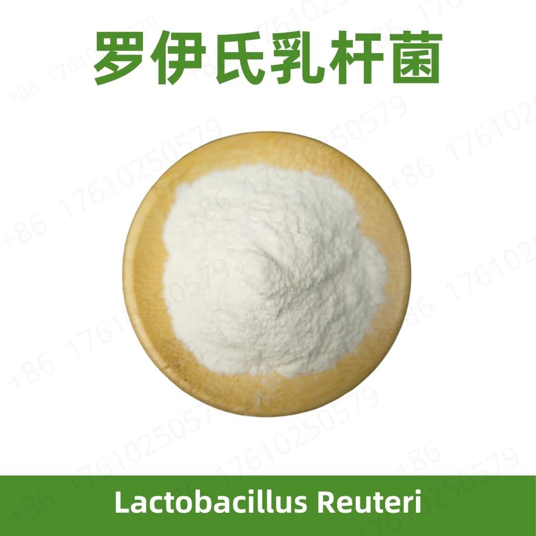 Lactobacillus reuteri