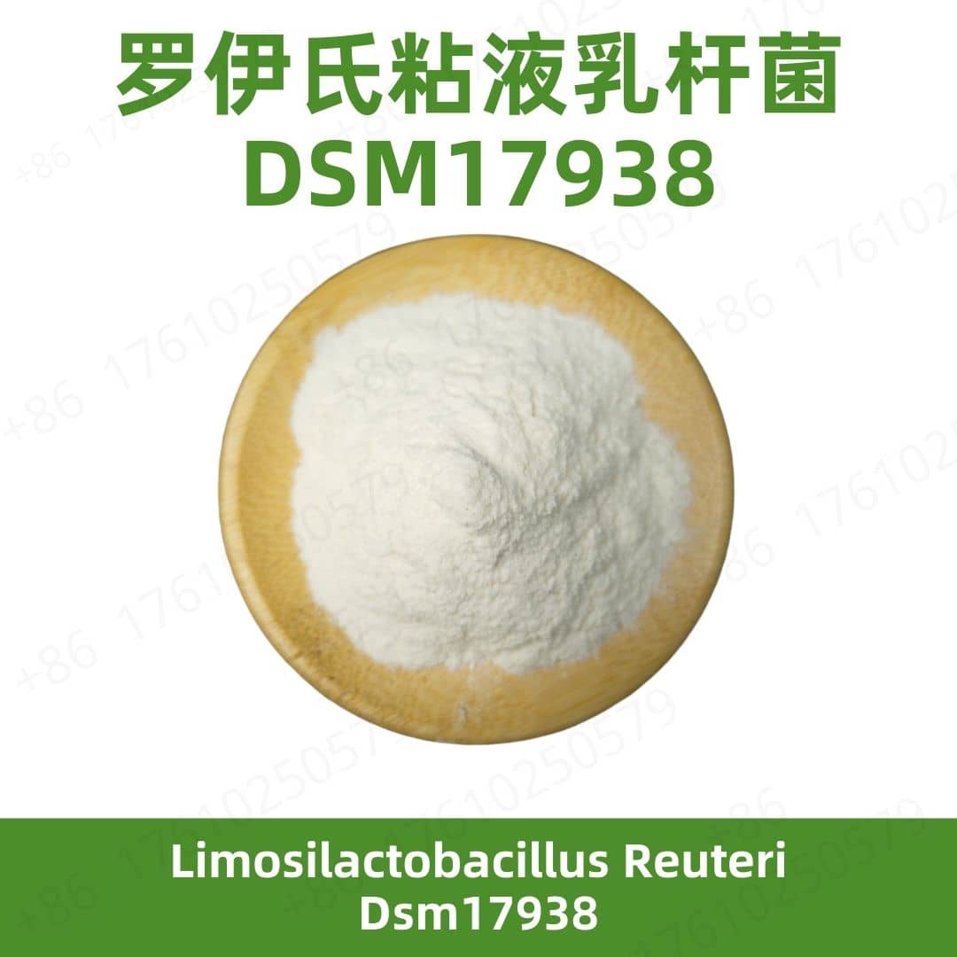 Limosilactobacillus reuteri DSM17938