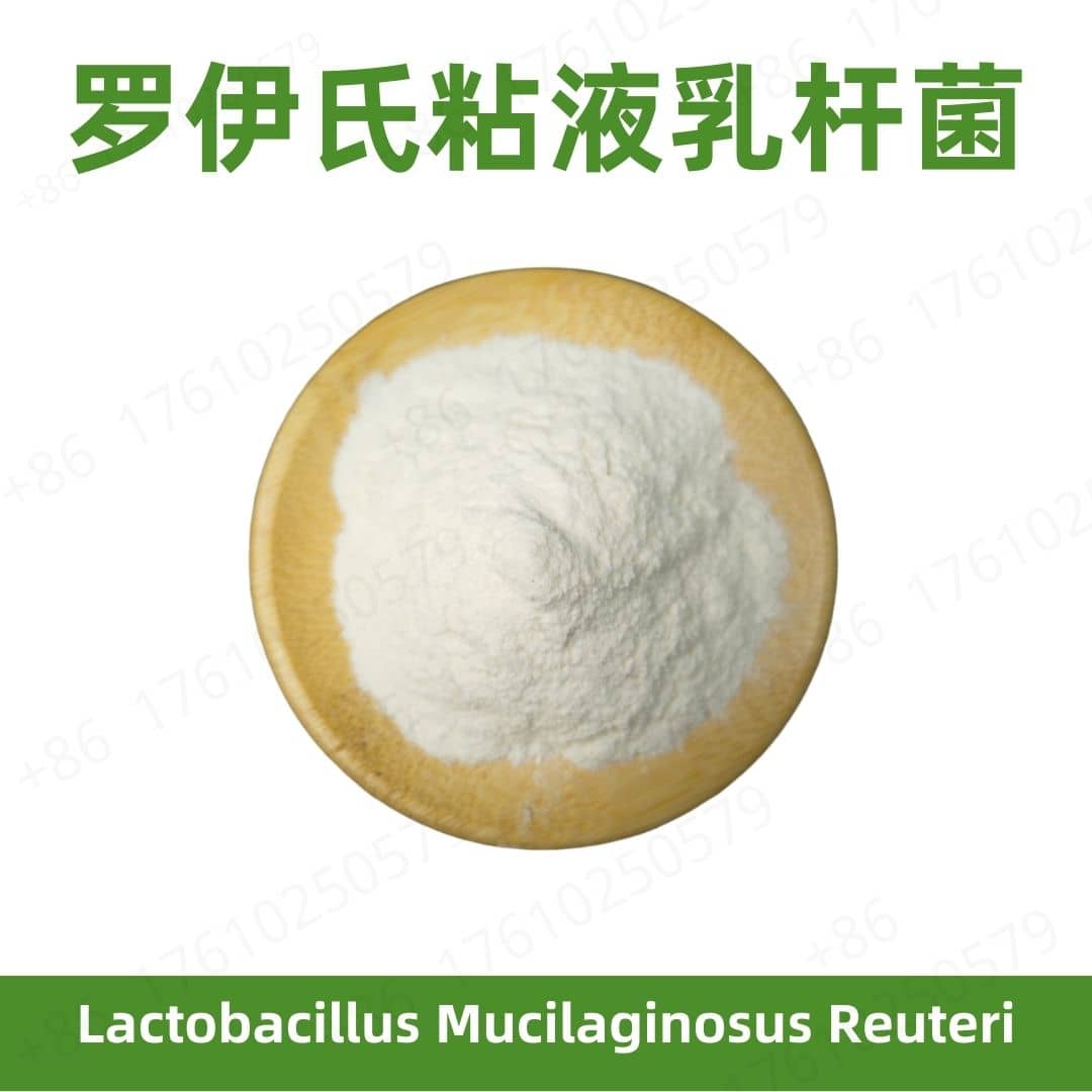 Lactobacillus mucilaginosus reuteri