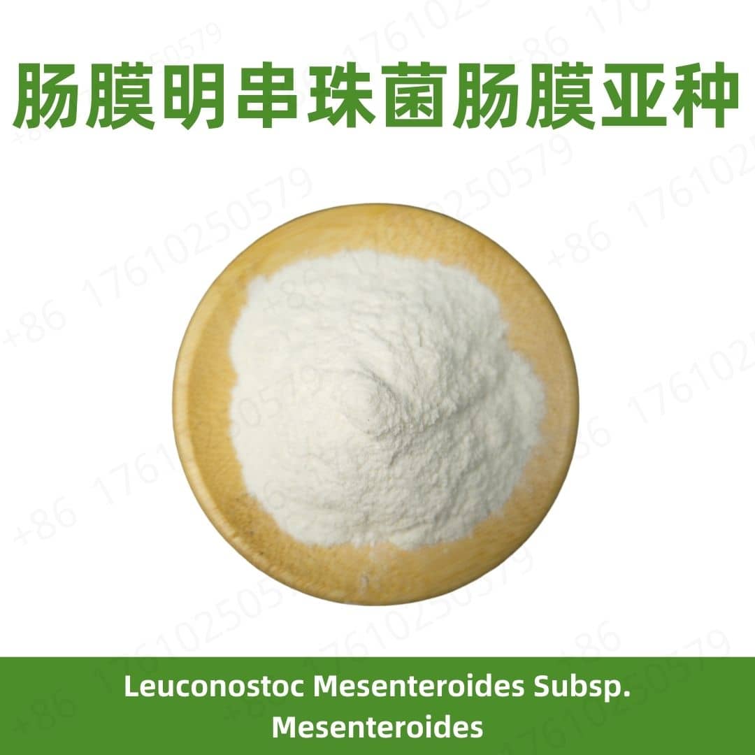 leuconostoc mesenteroides subsp. mesenteroides