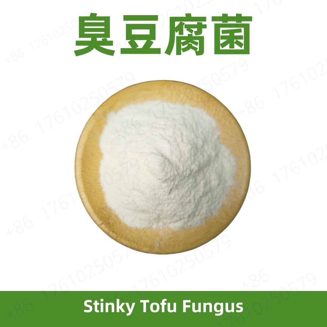 Stinky Tofu Fungus