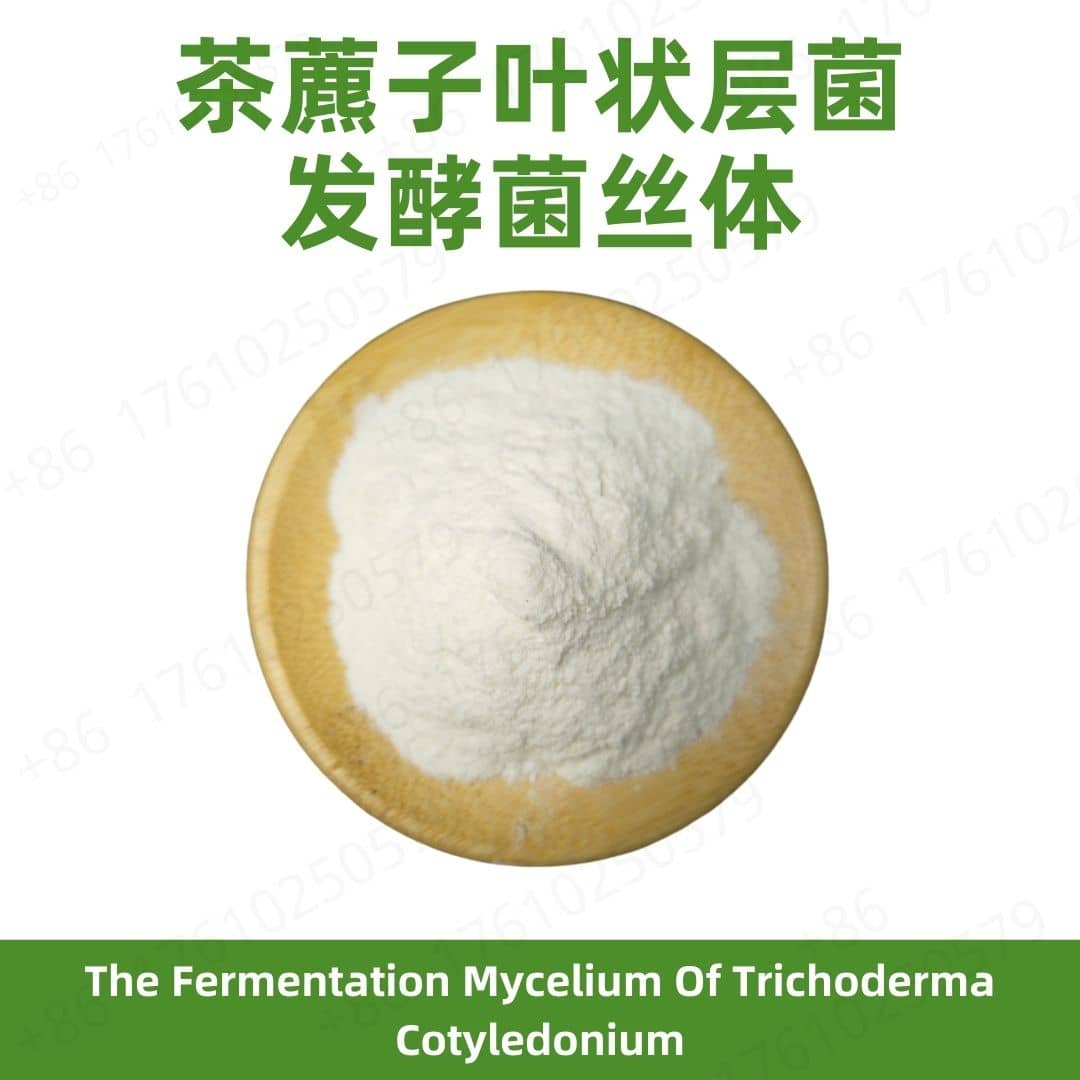 Fermentation Mycelium of Trichoderma Cotyledonium