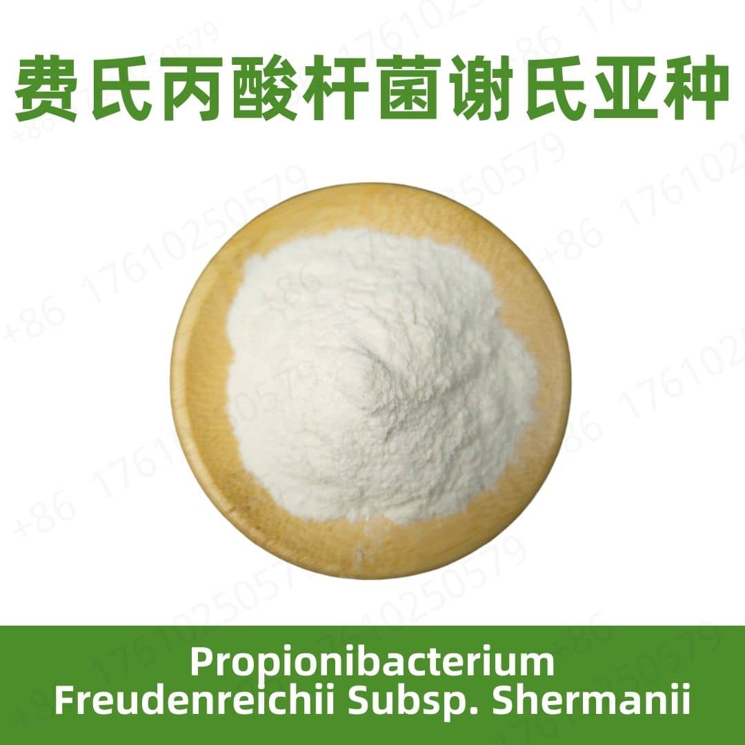 Propionibacterium freudenreichii subsp. shermanii