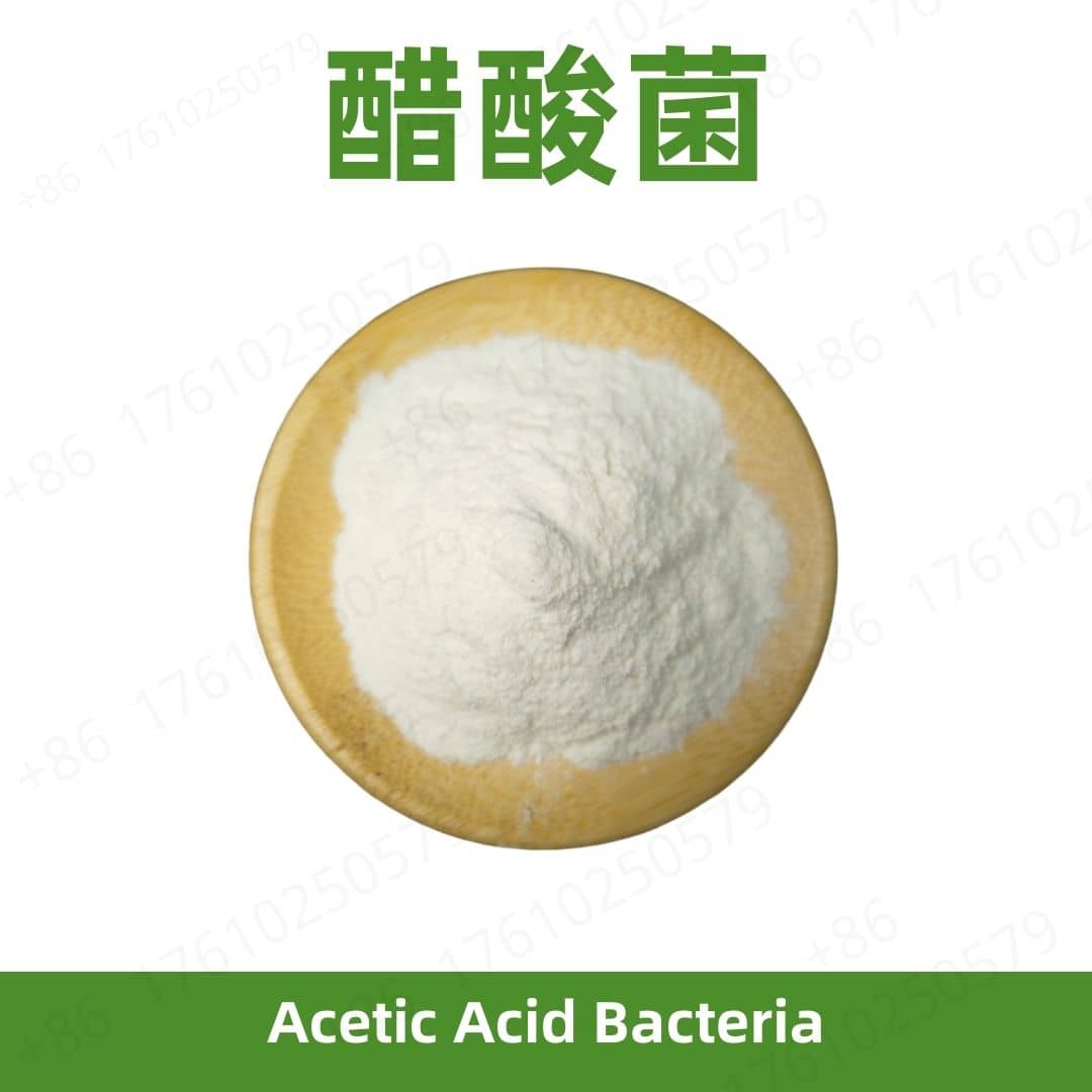 Acetic Acid Bacteria