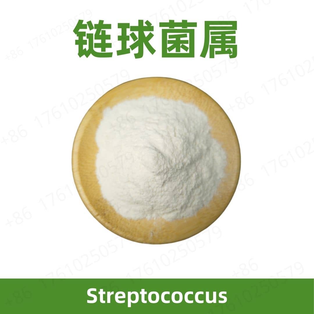 Streptococcus