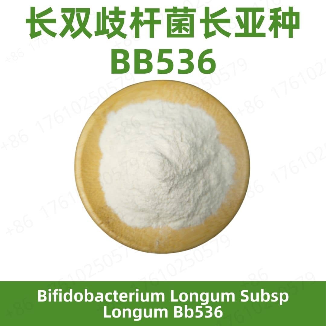 Bifidobacterium longum subsp longum BB536