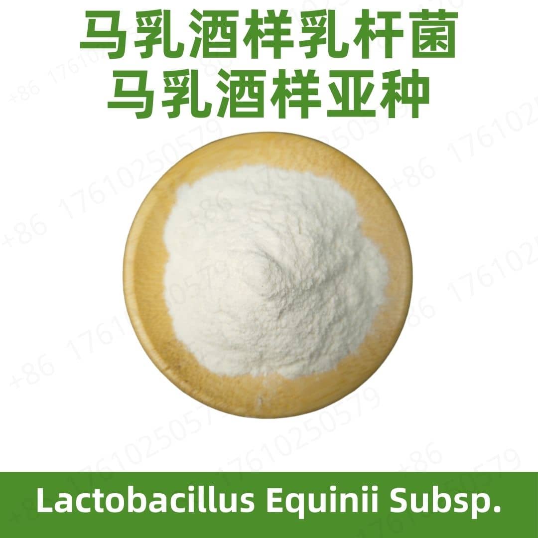 Lactobacillus equinii subsp