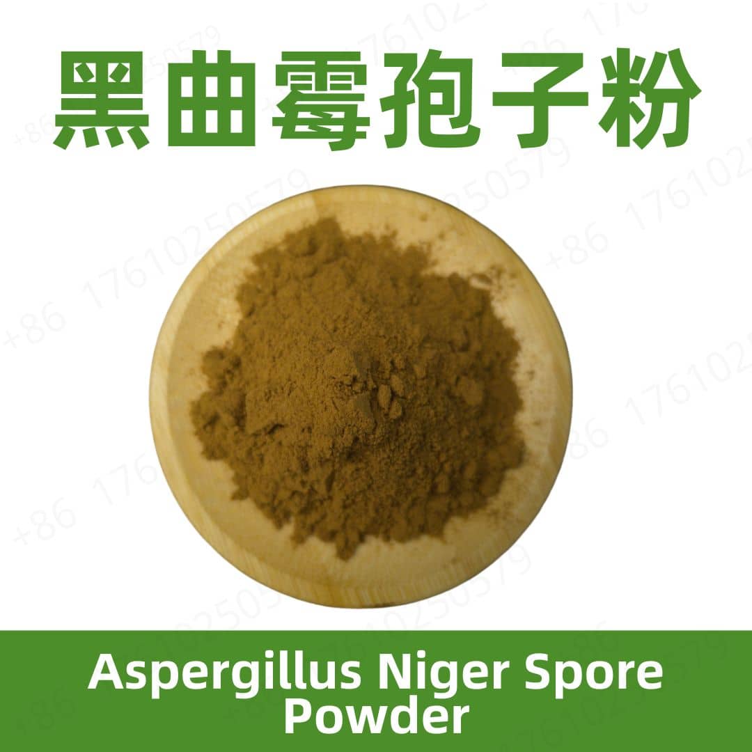 Aspergillus Niger Spore Powder