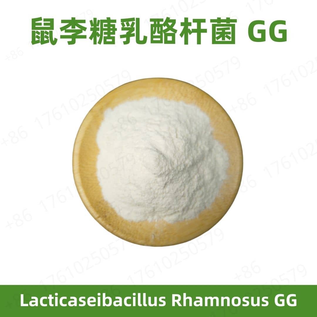 Lacticaseibacillus rhamnosus GG