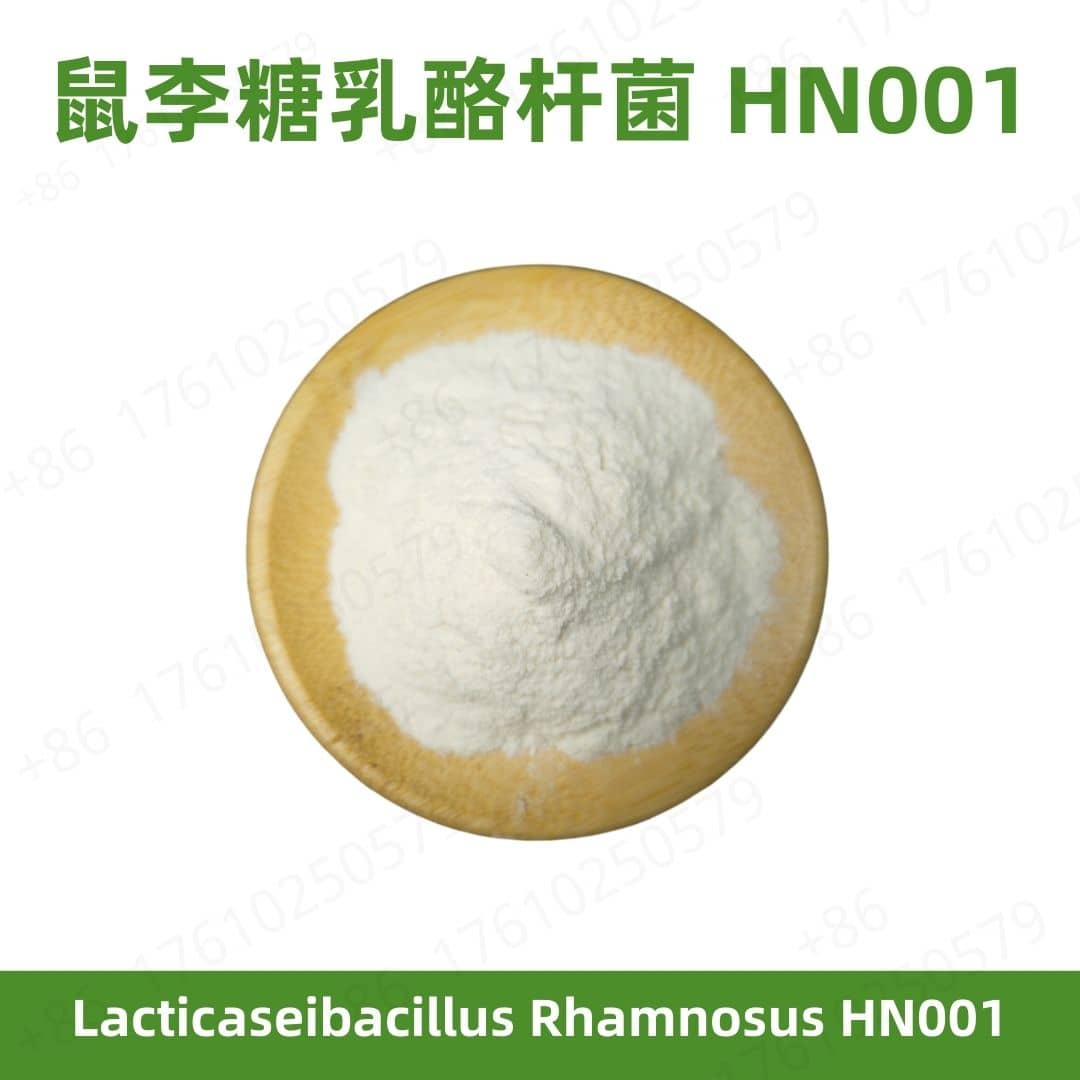 Lacticaseibacillus rhamnosus HN001